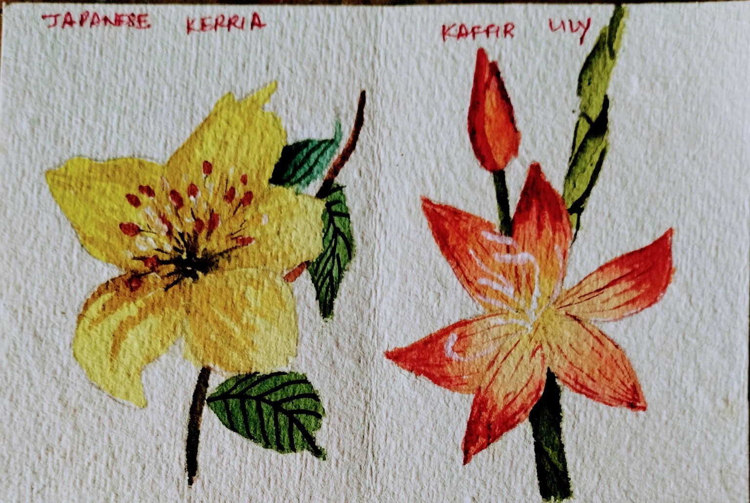 A to z watercolor flowers with Dhritikana - image 4 - student project
