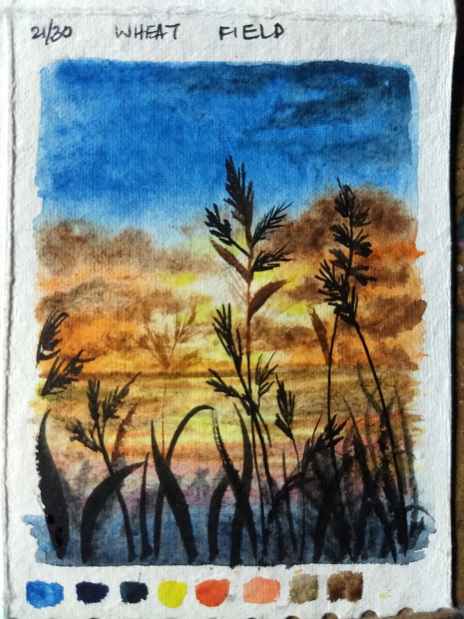 30 days nature landscape with umashree - image 13 - student project