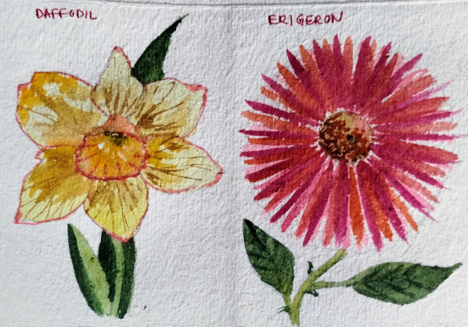 A to z watercolor flowers with Dhritikana - image 8 - student project