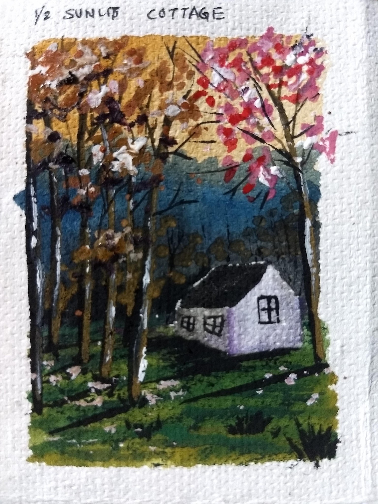 Cottage in scenic landscape with Shanan - image 2 - student project
