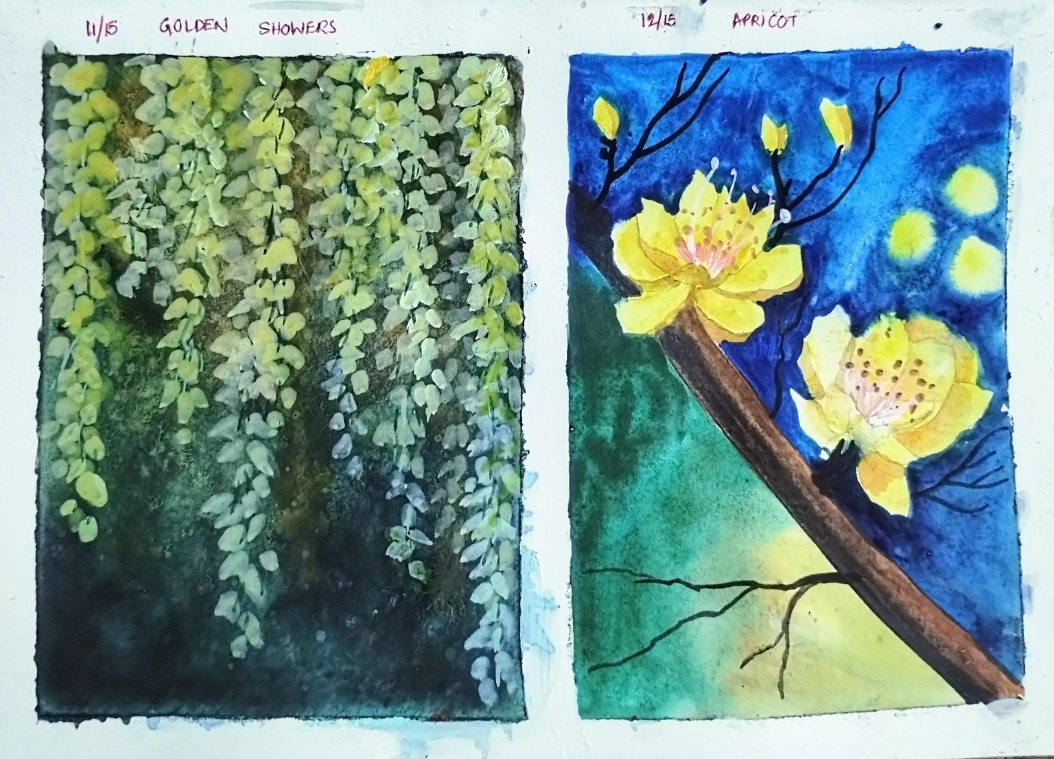 Blossom to bloom with Geethu - image 2 - student project