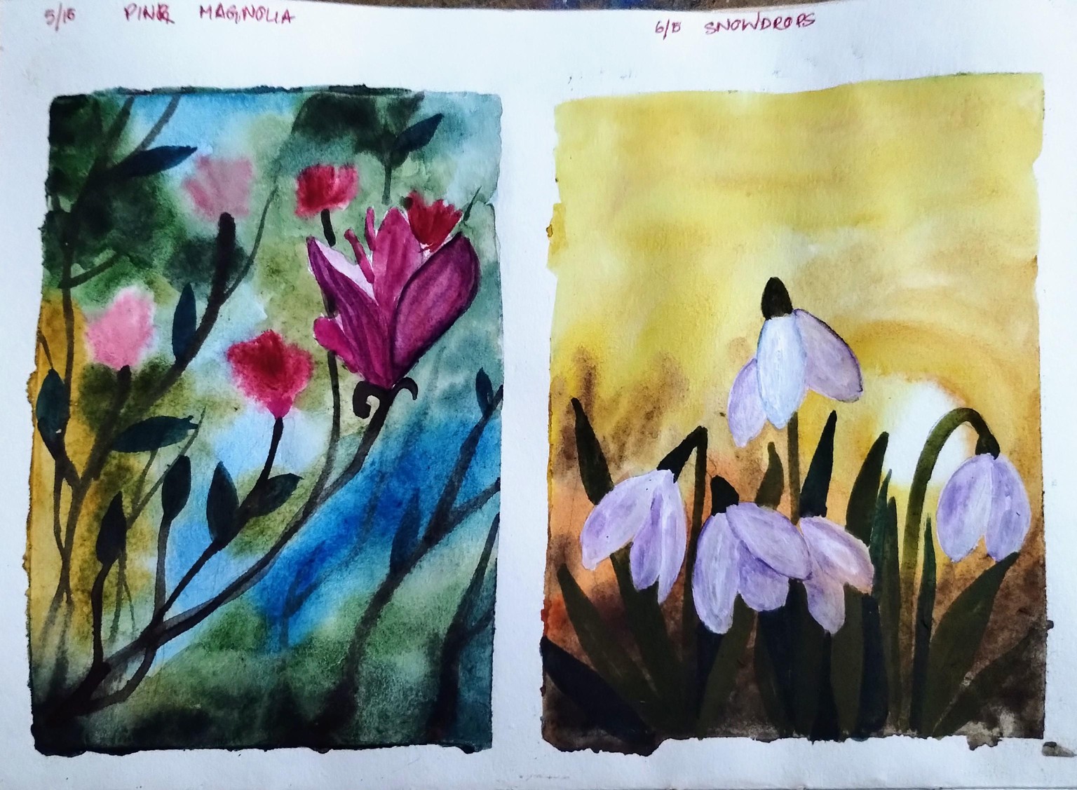 Blossom to bloom with Geethu - image 6 - student project