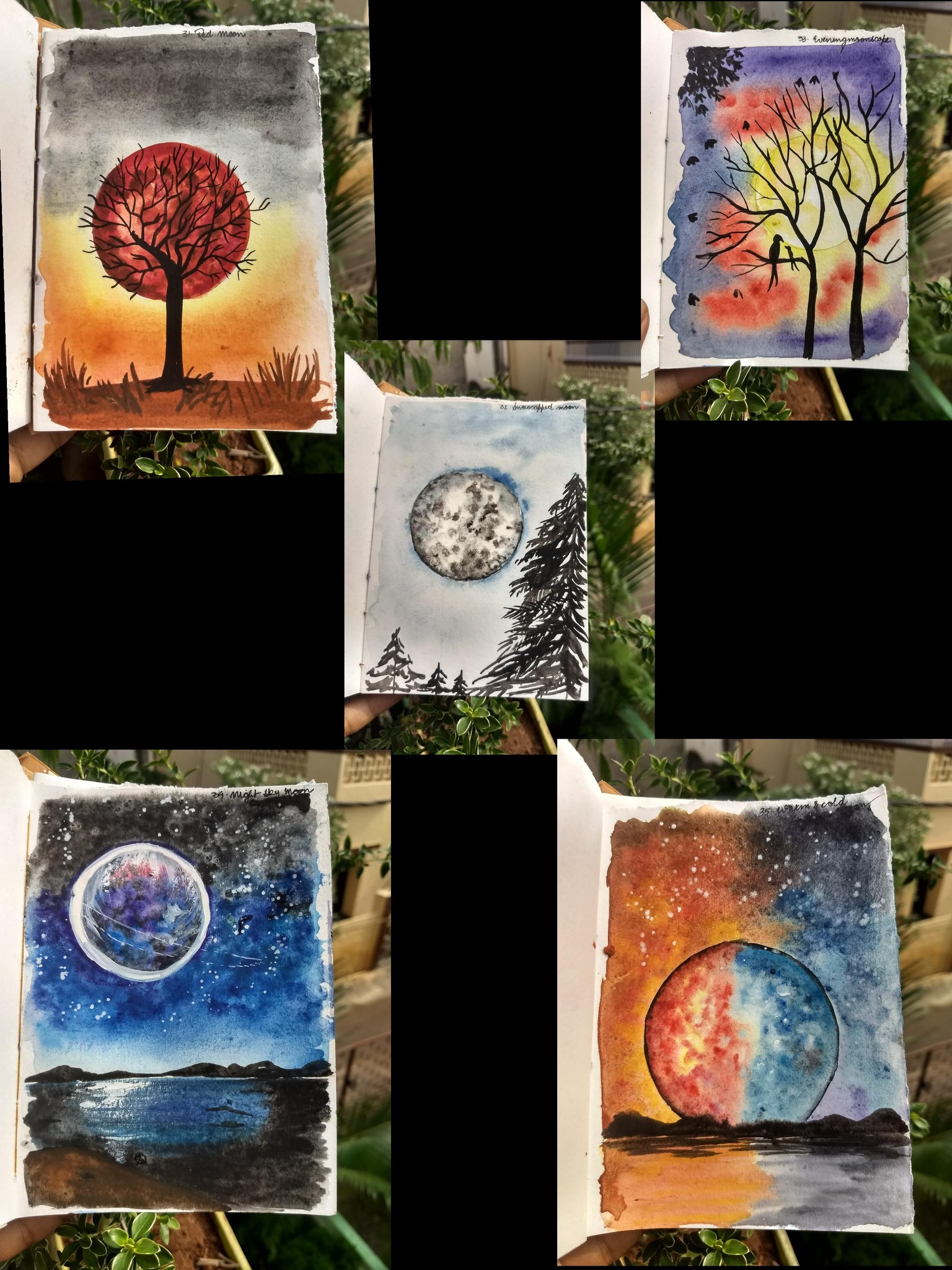 50 days watercolor with Umashree - image 12 - student project