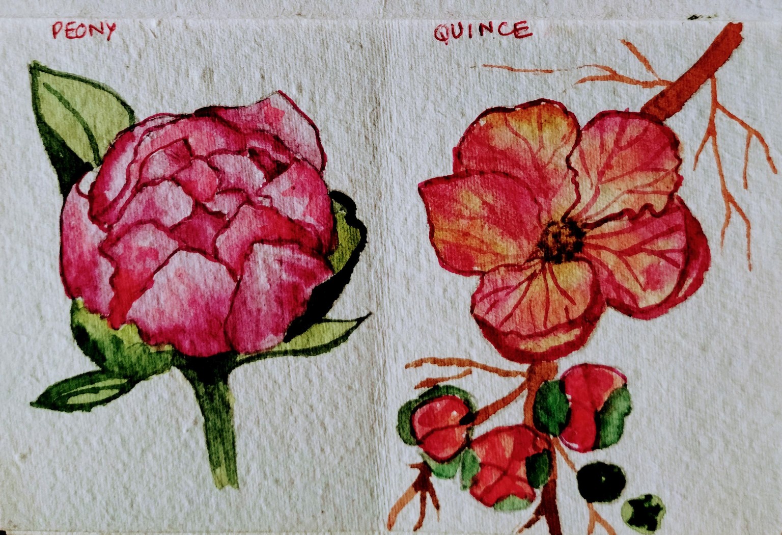 A to z watercolor flowers with Dhritikana - image 3 - student project