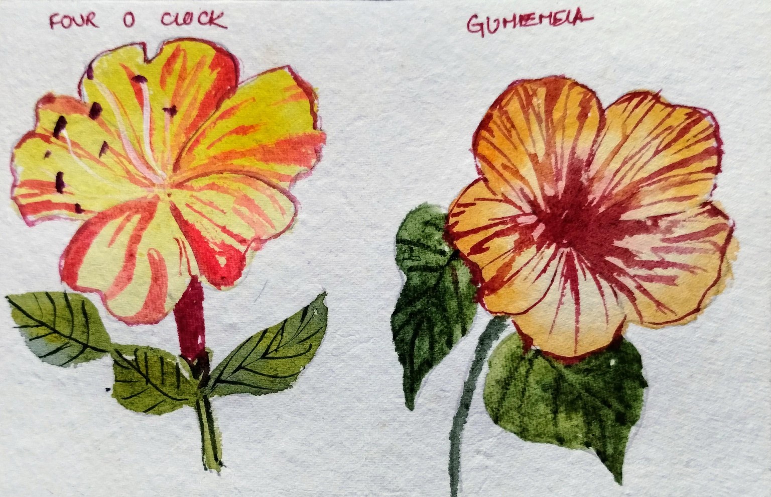 A to z watercolor flowers with Dhritikana - image 7 - student project