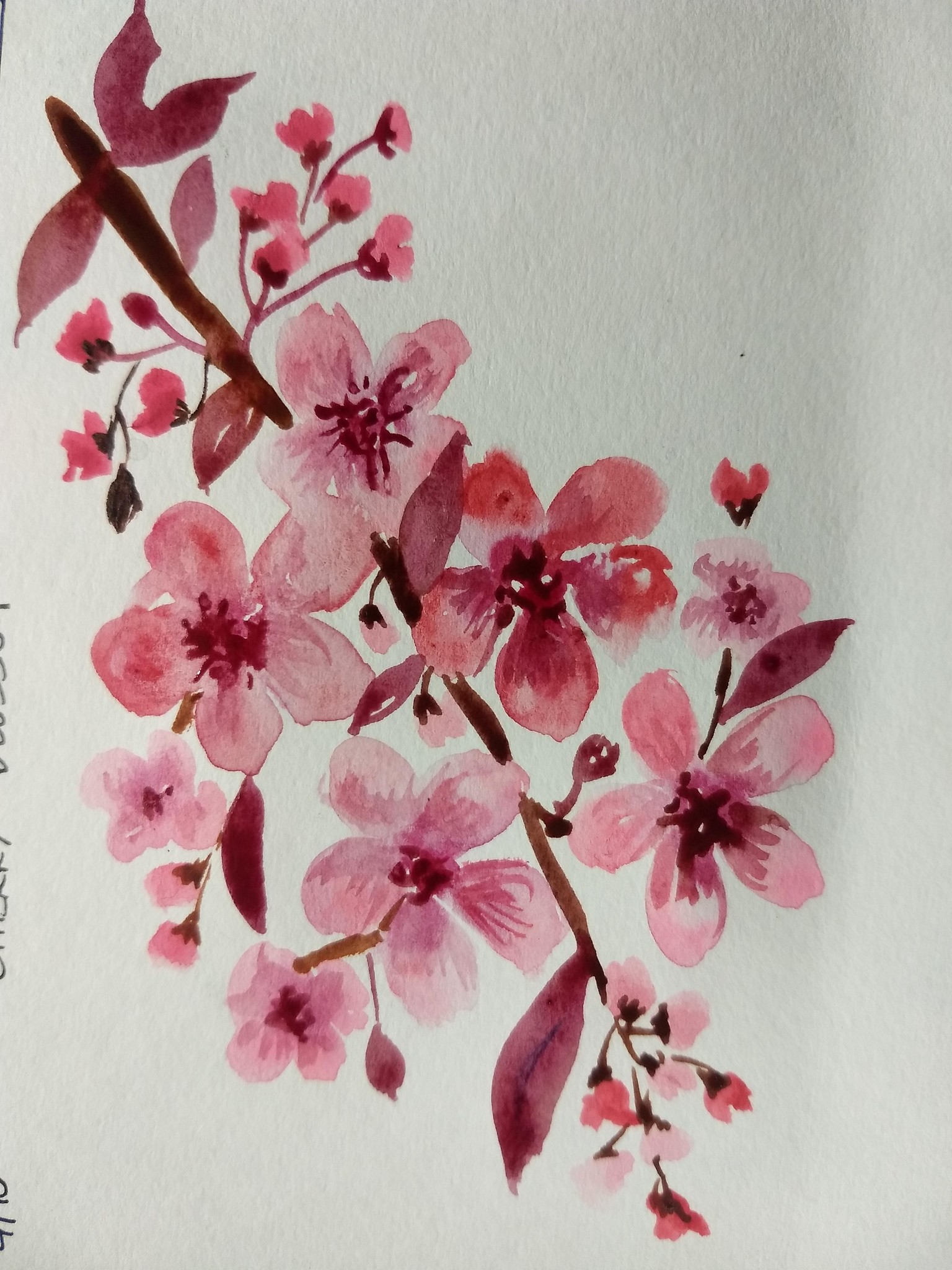 10 days watercolor spring flowers with vinita - image 8 - student project