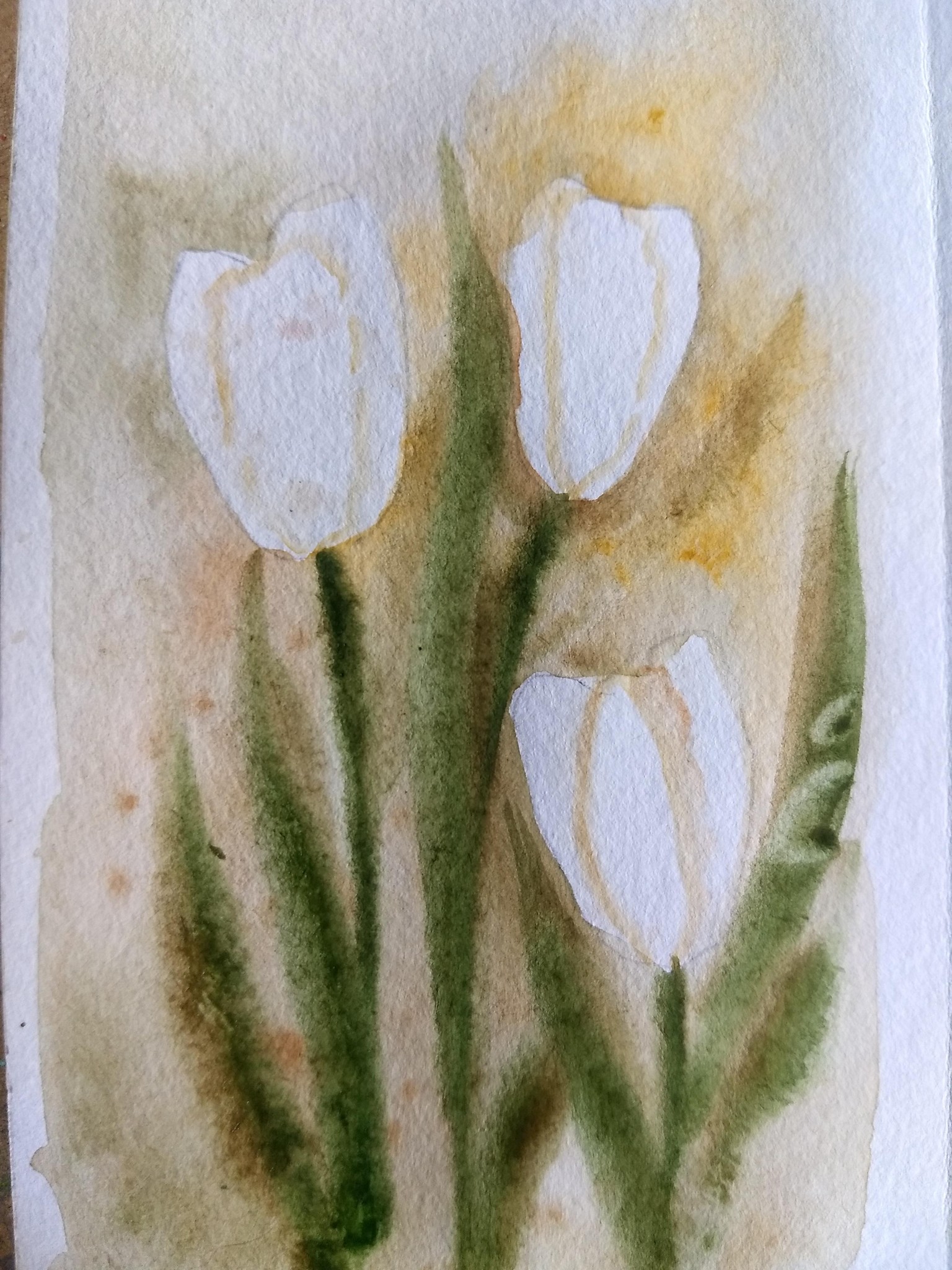 Creative ways to paint white in watercolor with Jenny - image 2 - student project