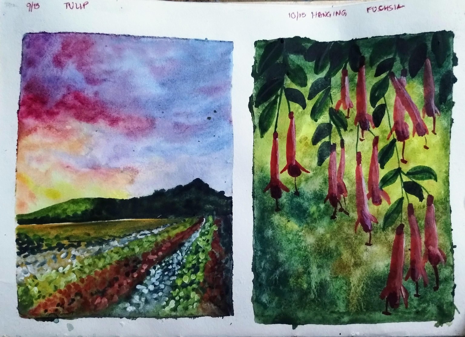 Blossom to bloom with Geethu - image 5 - student project