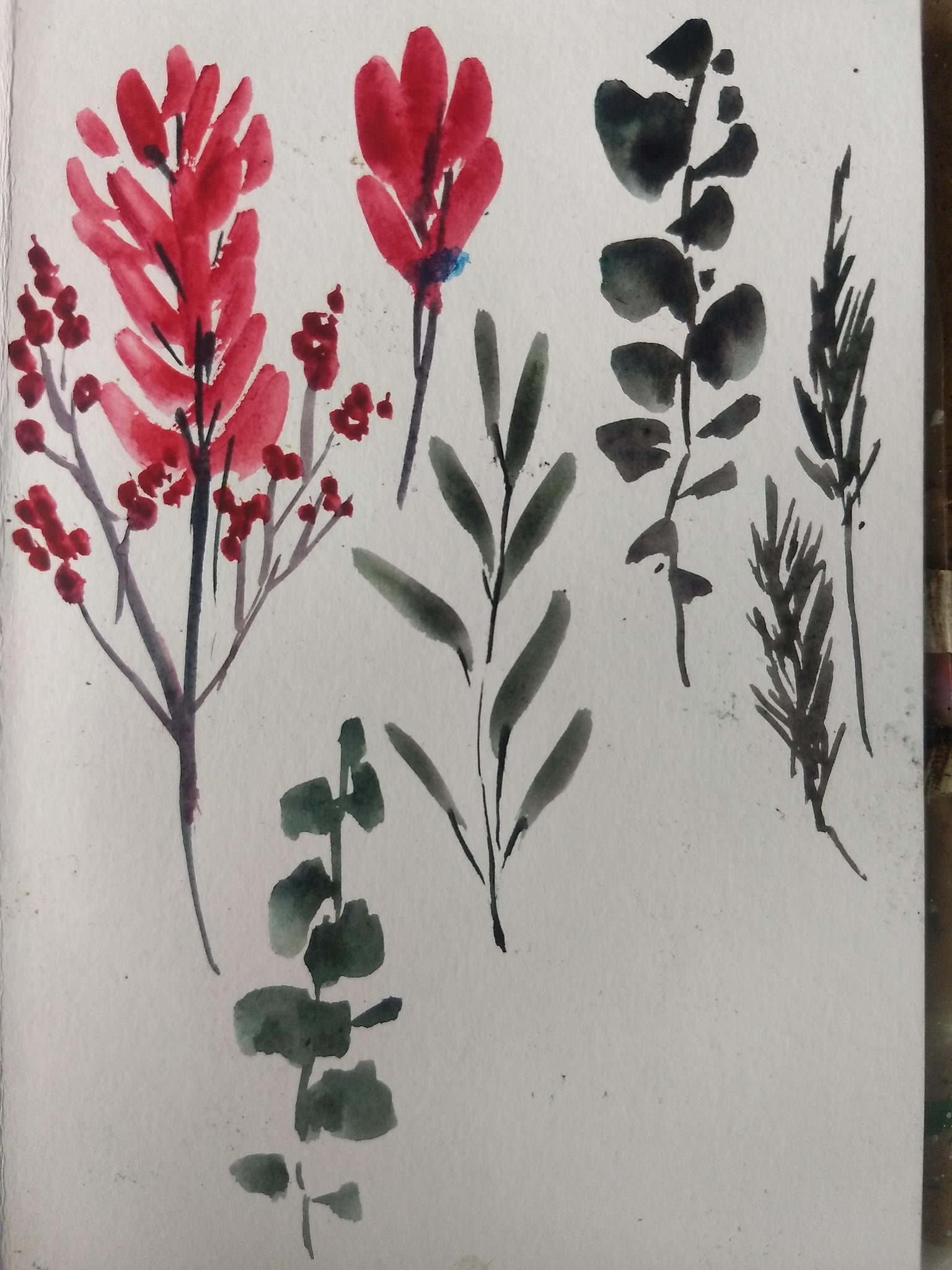 Vintage botanical with Bianca - image 5 - student project