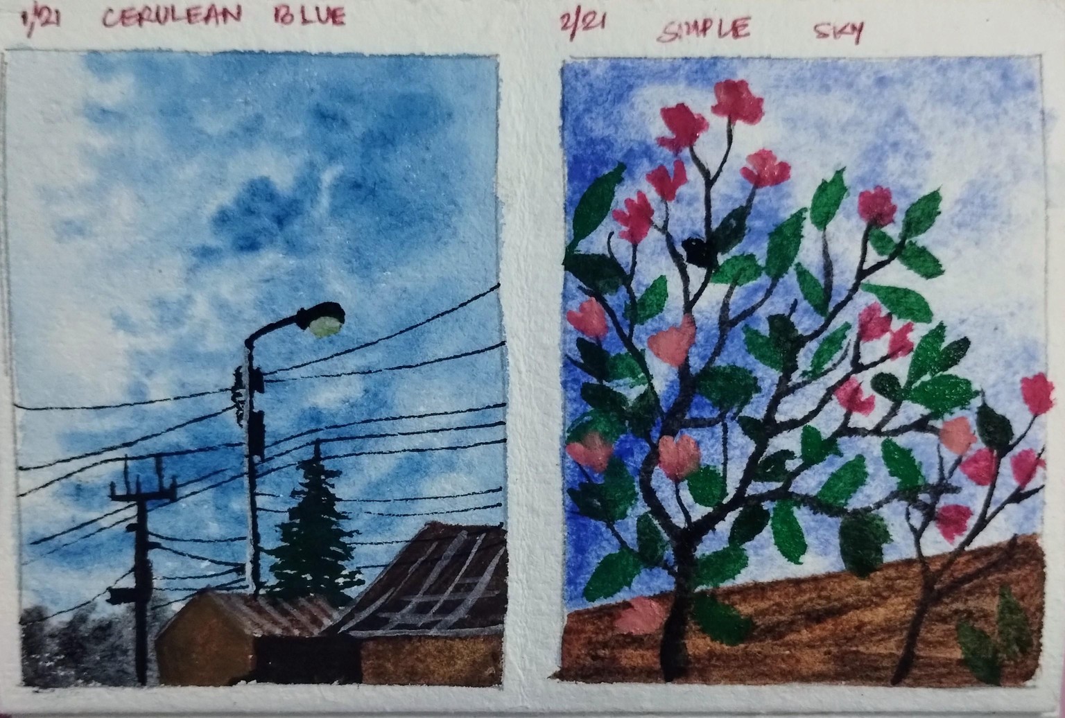 21 days blue skies with Umashree - image 11 - student project
