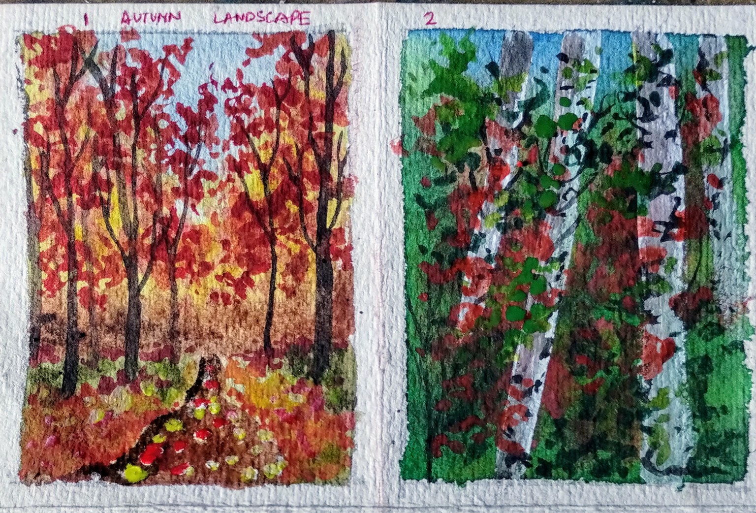 Autumn to winter with shalika - image 2 - student project
