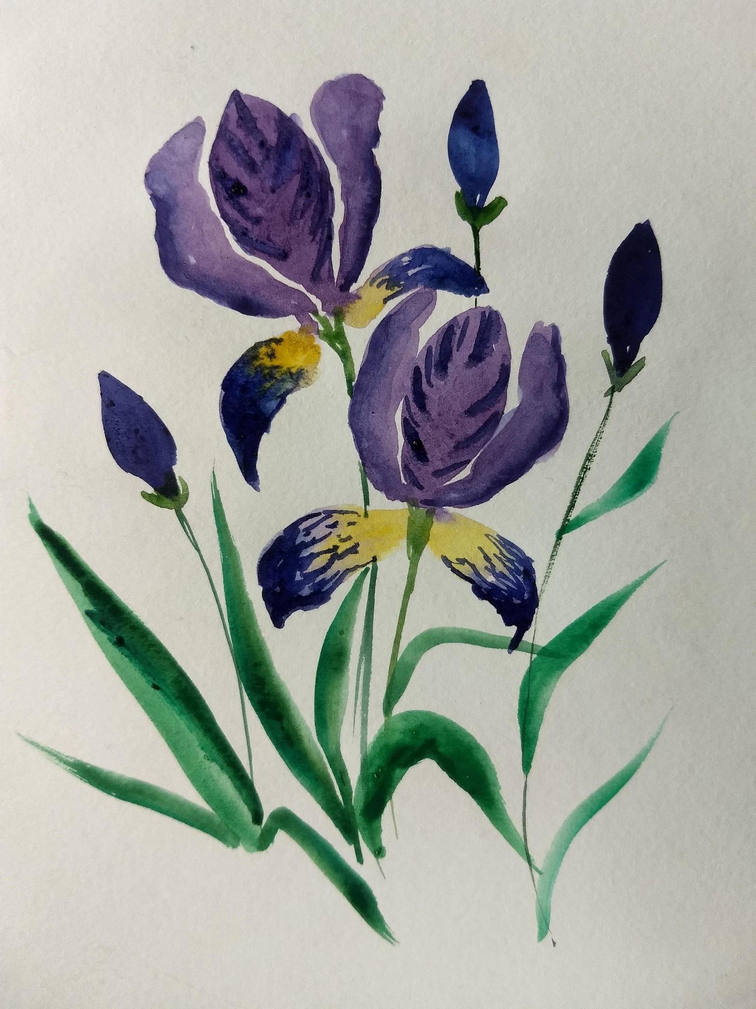 10 days watercolor spring flowers with vinita - image 7 - student project