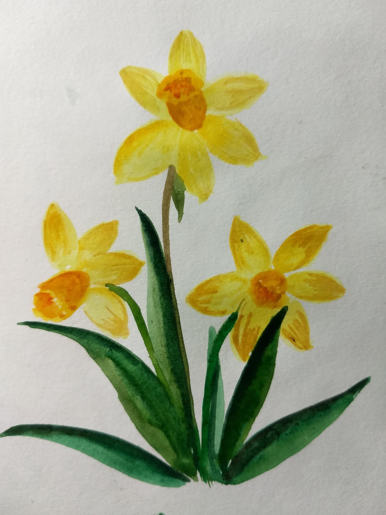 10 days watercolor spring flowers with vinita - image 5 - student project