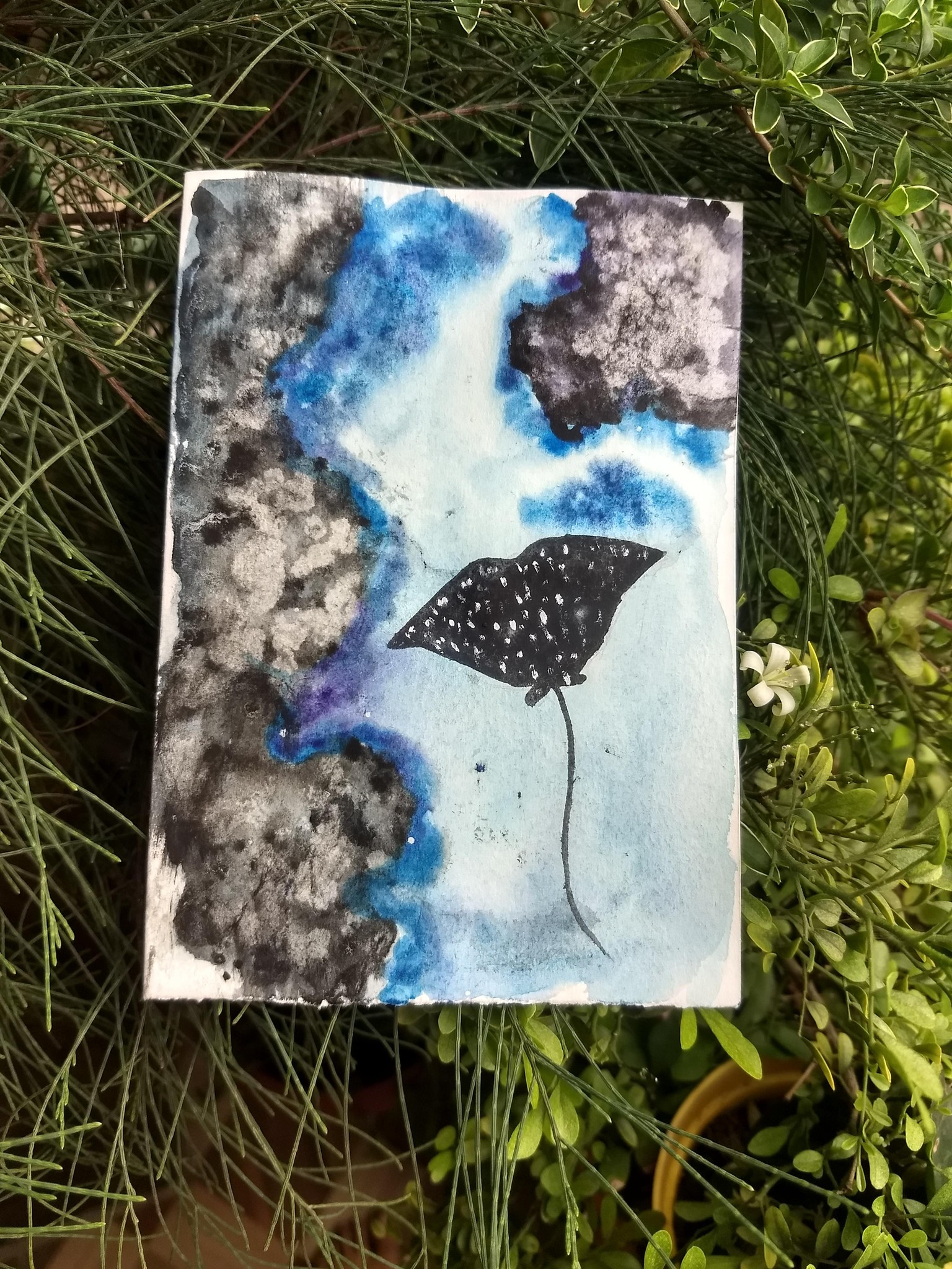 Underwater painting - image 4 - student project