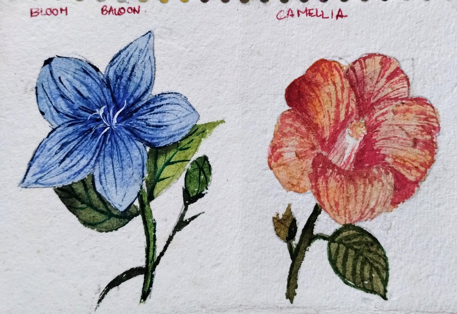 A to z watercolor flowers with Dhritikana - image 9 - student project