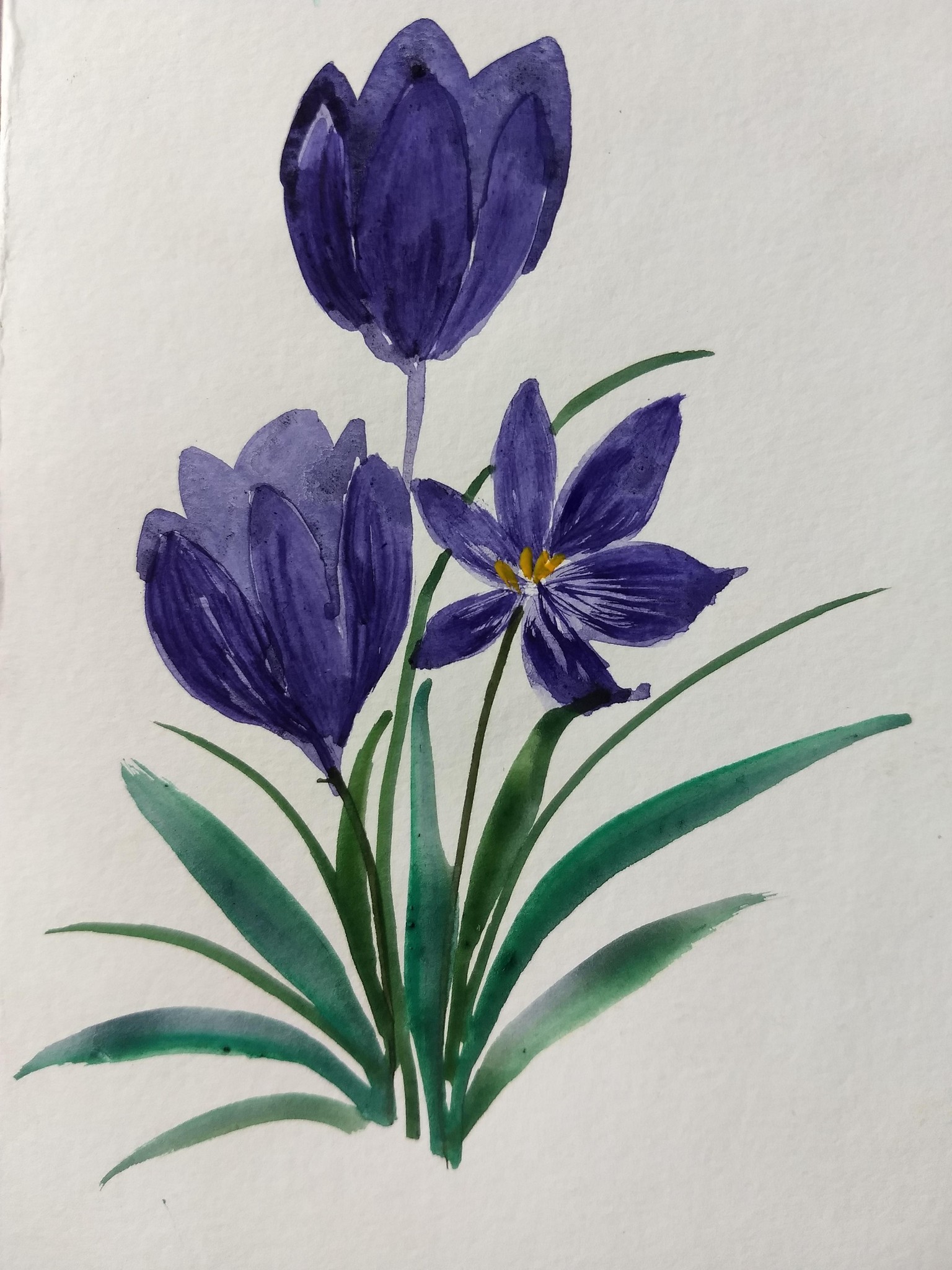 10 days watercolor spring flowers with vinita - image 2 - student project