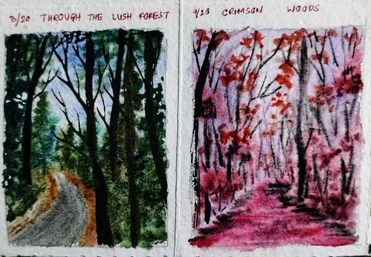 20 day watercolor forest with Shanan - image 8 - student project