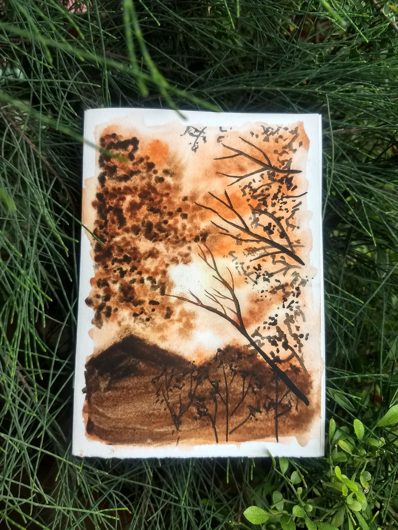 Glowing sunsets - image 3 - student project