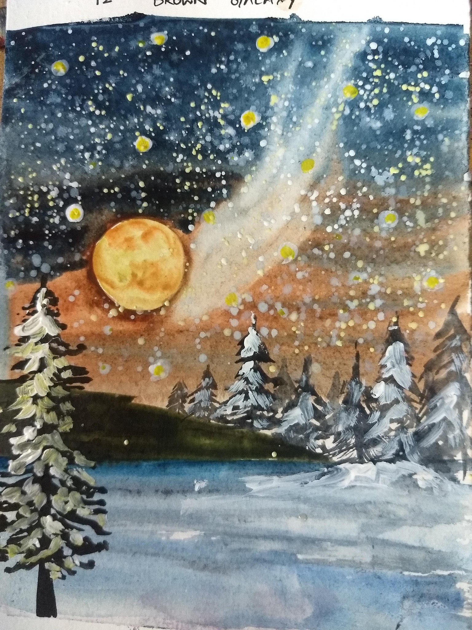Winter landscape with Umashree - image 22 - student project