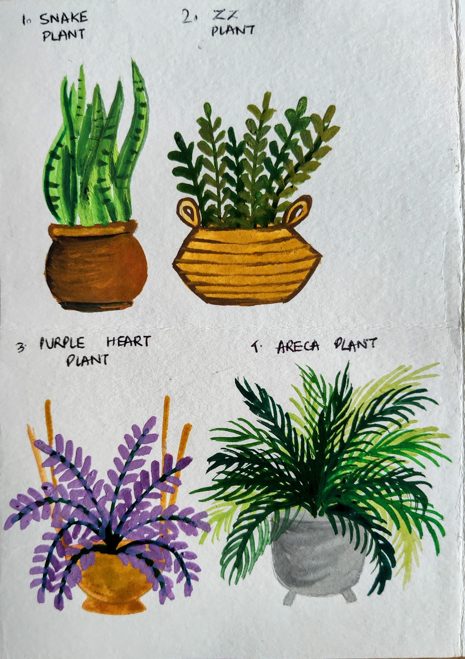 Indoor plants with Mohini - image 3 - student project