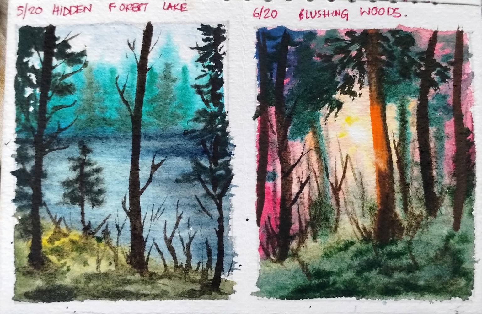 20 day watercolor forest with Shanan - image 6 - student project