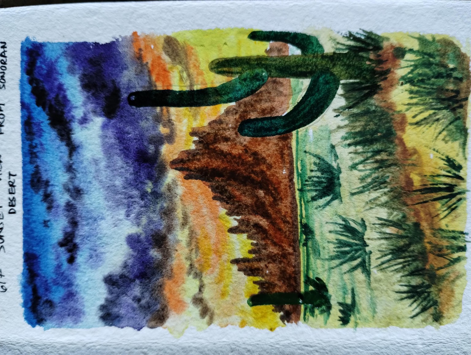 7 day desertscape with Nilam - image 3 - student project