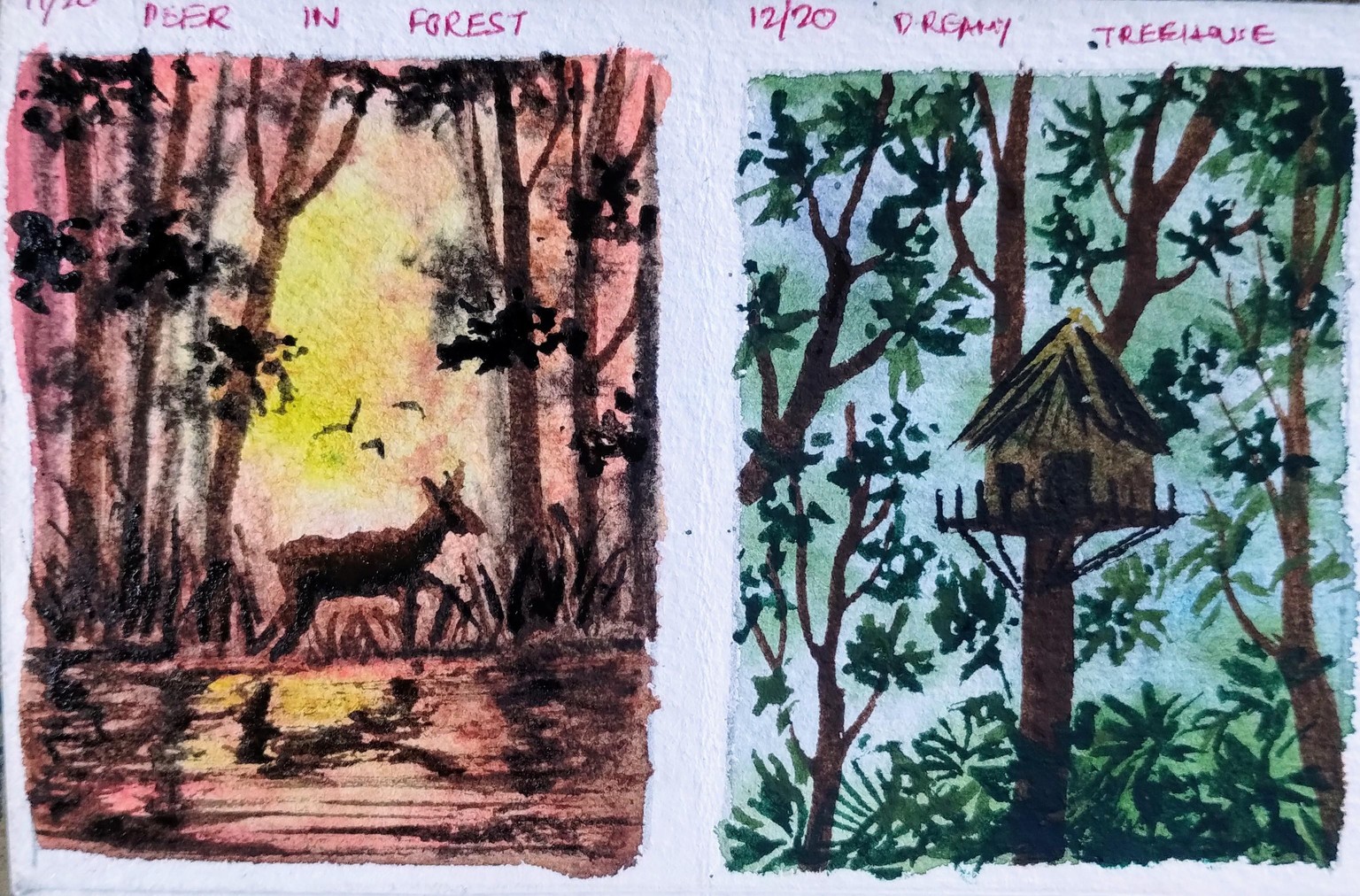 20 day watercolor forest with Shanan - image 3 - student project