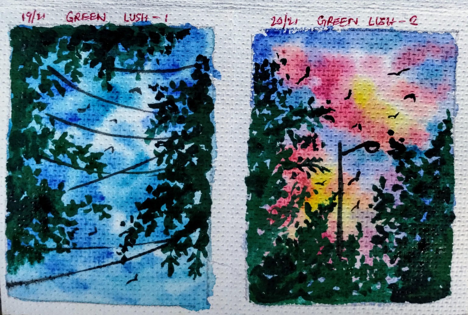21 days blue skies with Umashree - image 3 - student project