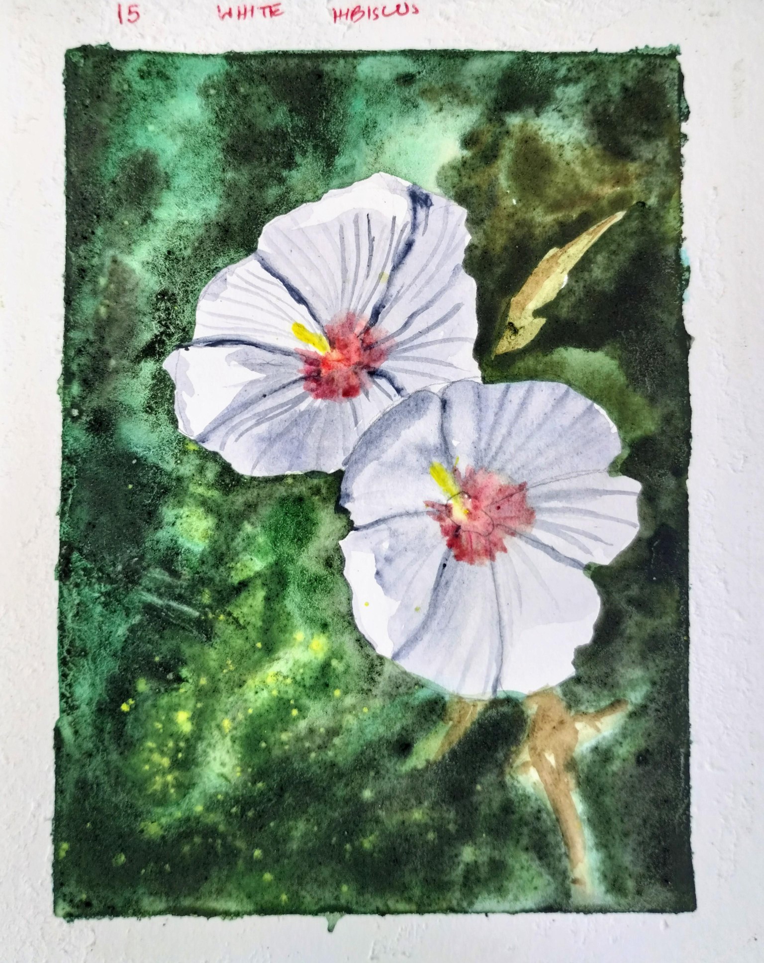Blossom to bloom with Geethu - image 1 - student project