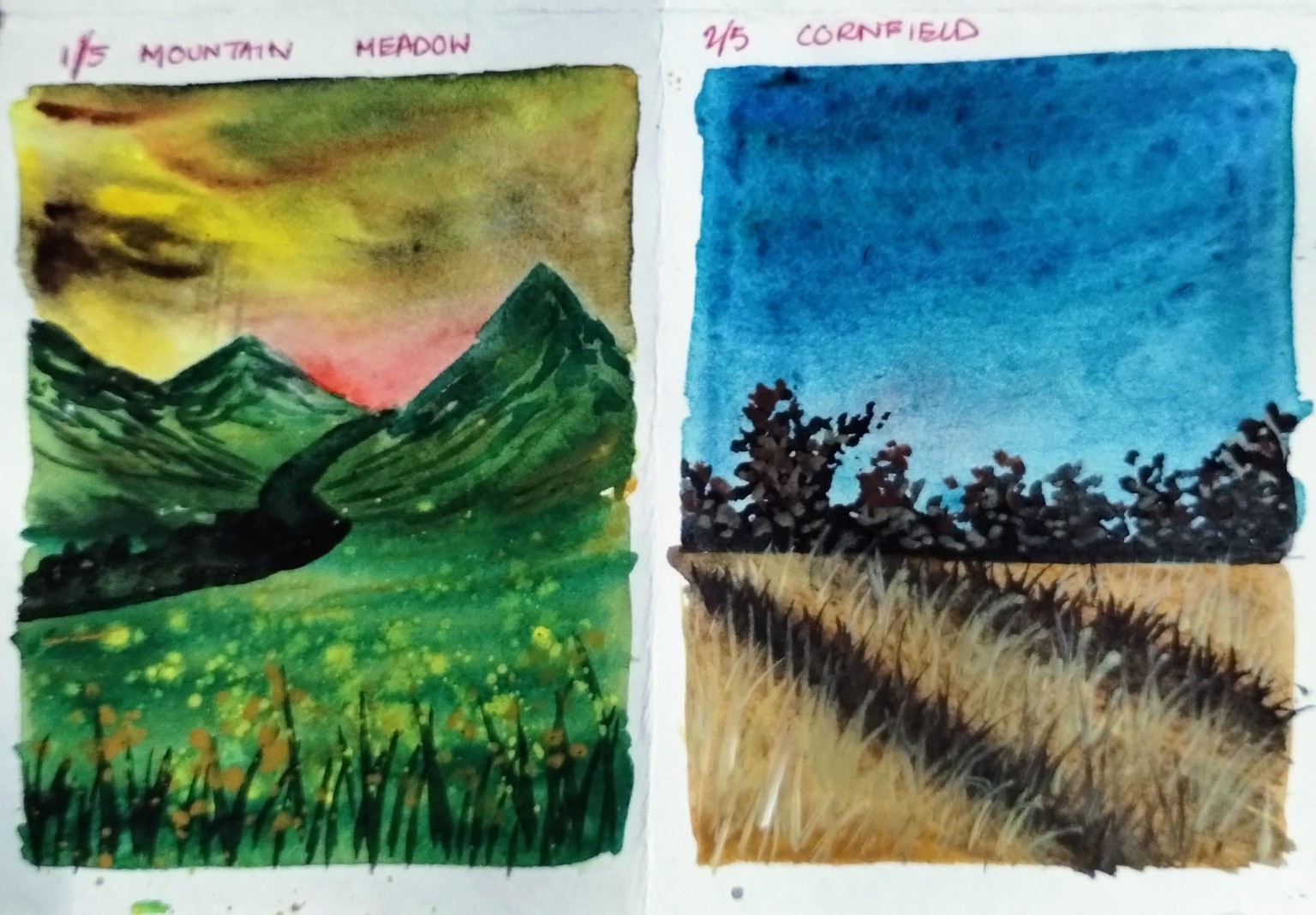 5 days watercolor meadows  with Umashree - image 3 - student project