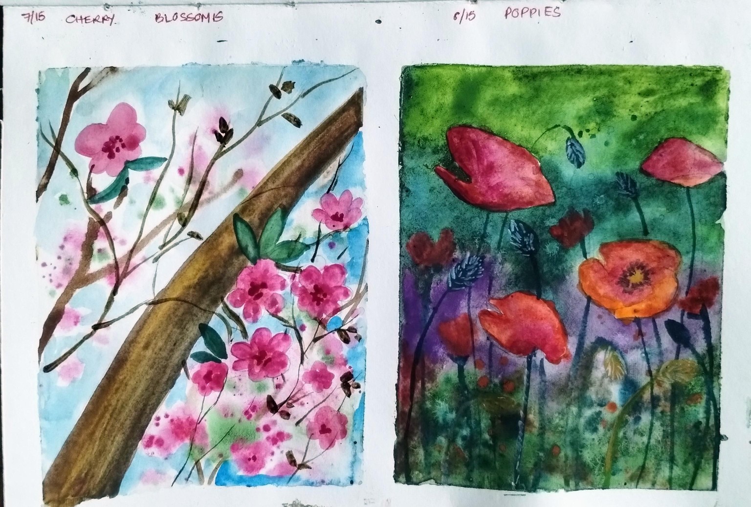 Blossom to bloom with Geethu - image 7 - student project