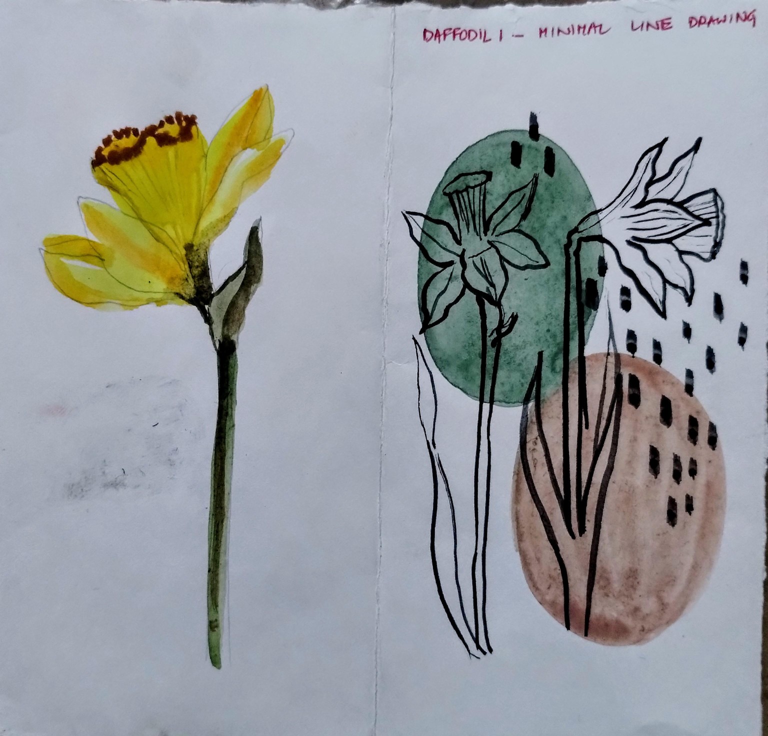 Painting botanical from live reference with Garima - image 4 - student project