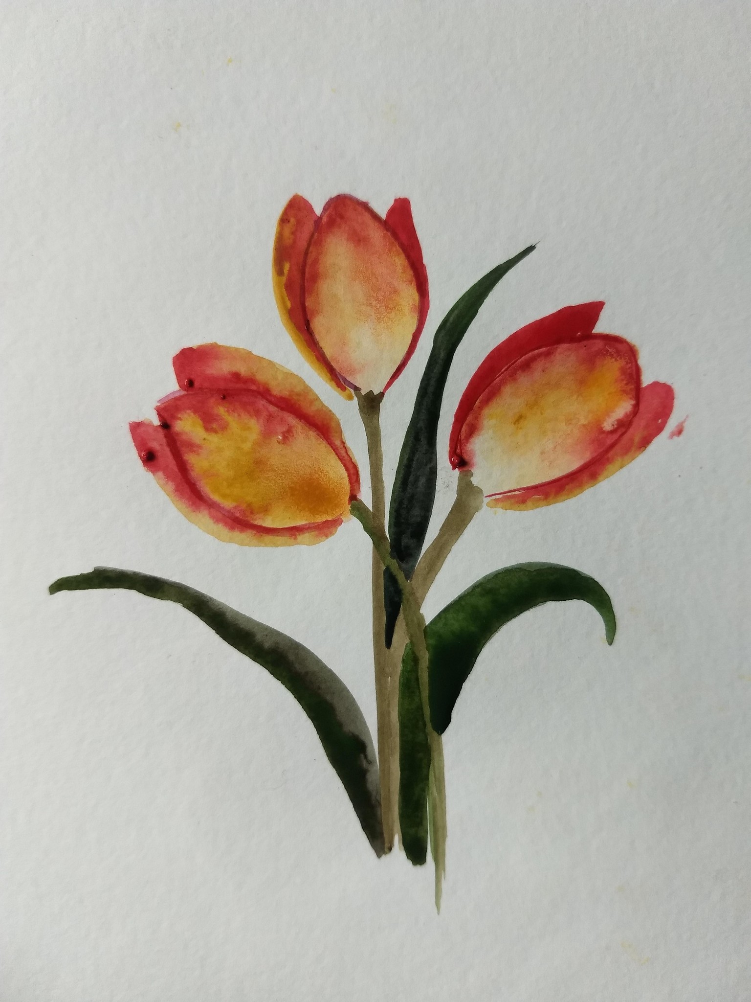 10 days watercolor spring flowers with vinita - image 9 - student project