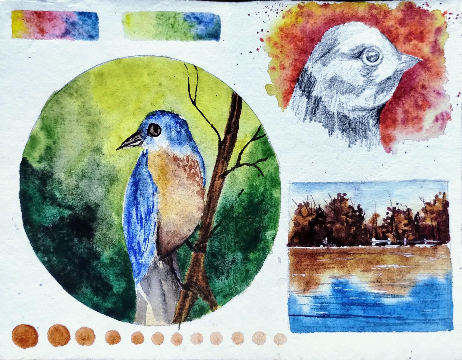 Sketchbook practice with Dhritikana - image 1 - student project