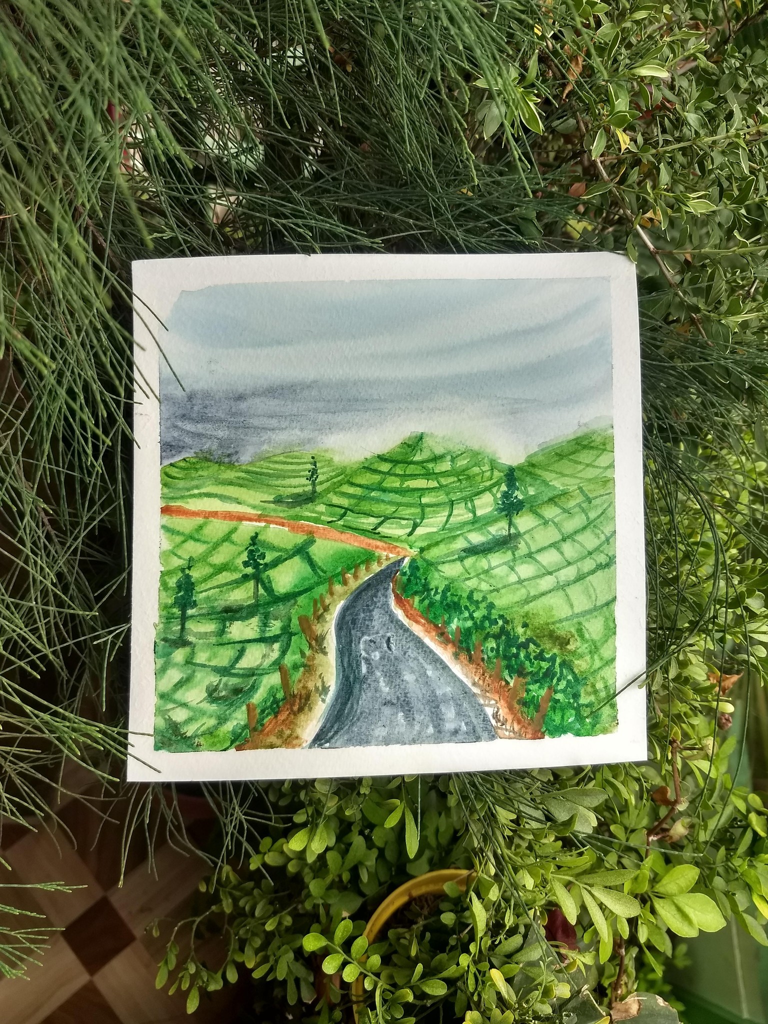 Tea garden - image 1 - student project