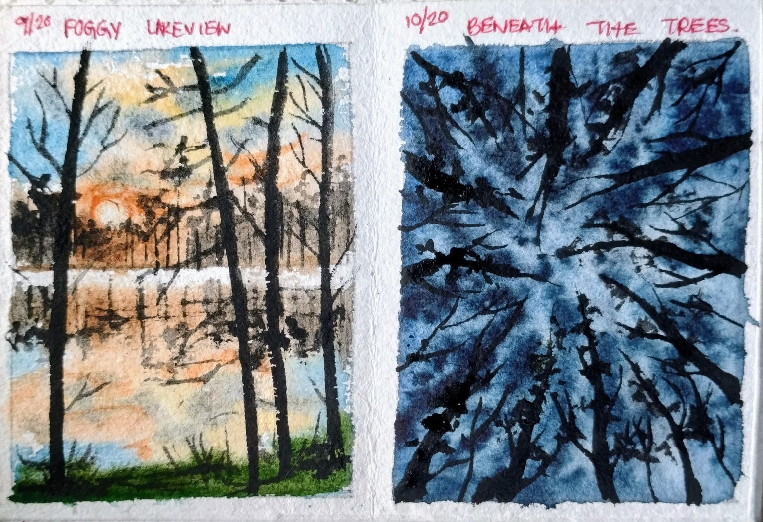 20 day watercolor forest with Shanan - image 4 - student project