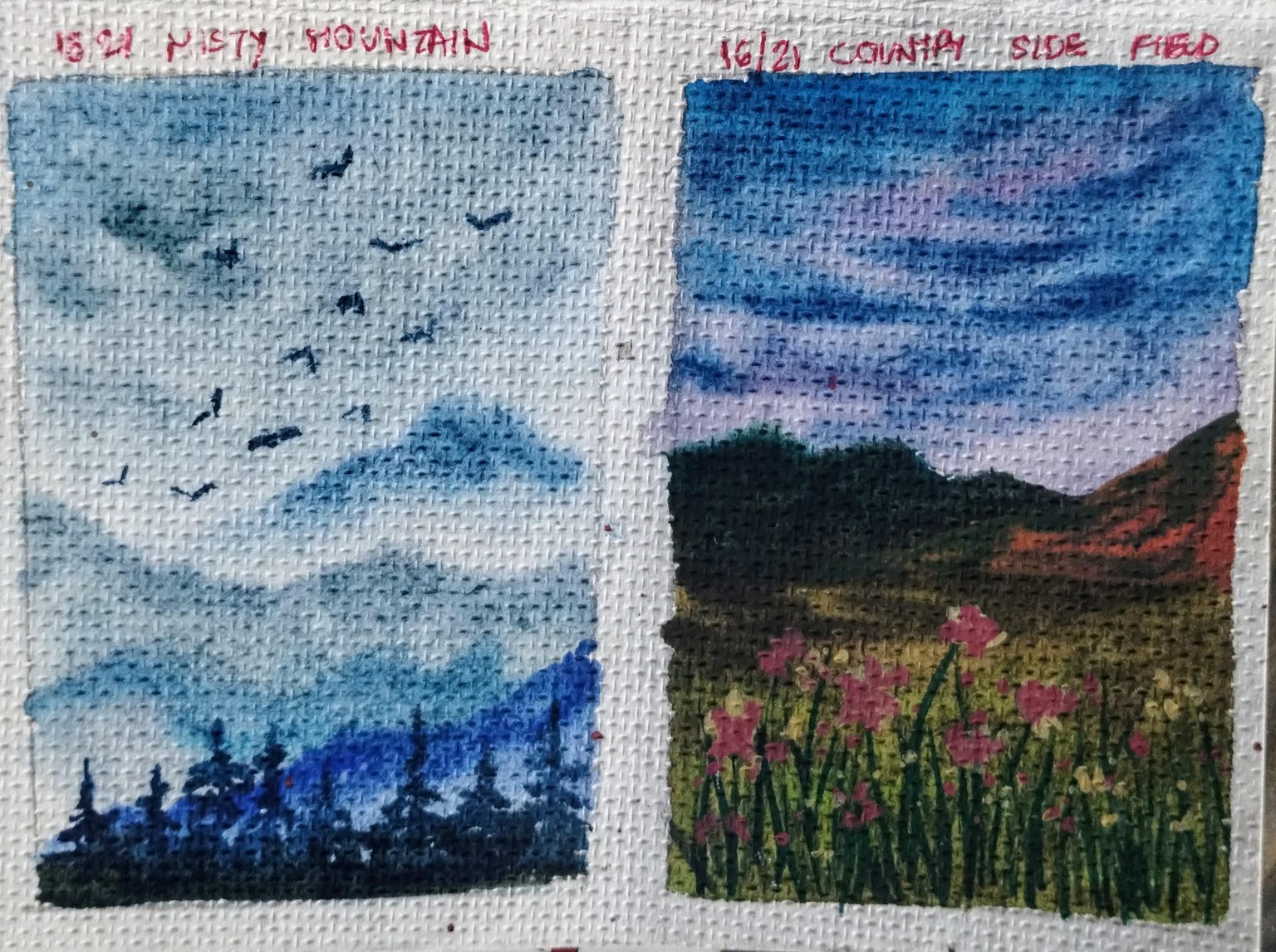 21 days blue skies with Umashree - image 7 - student project