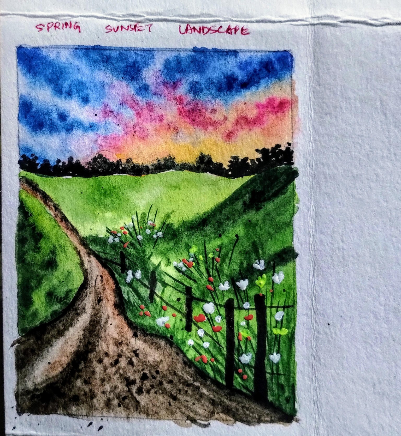 Spring sunset landscape with Aishwarya - image 1 - student project