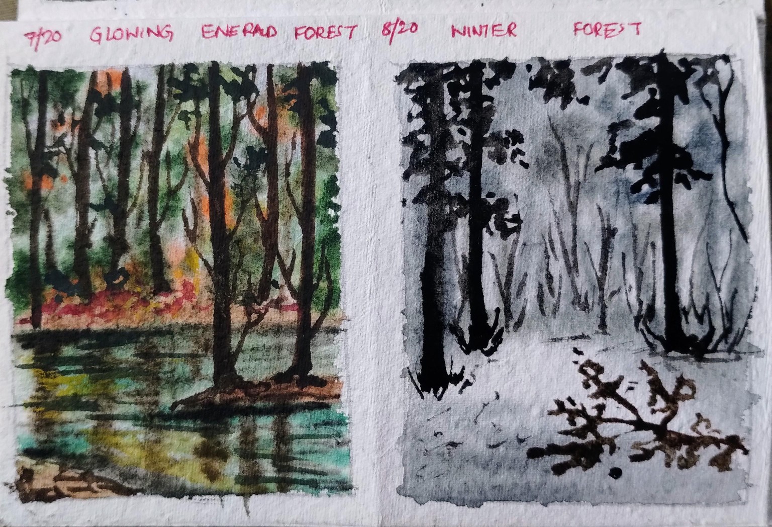 20 day watercolor forest with Shanan - image 5 - student project