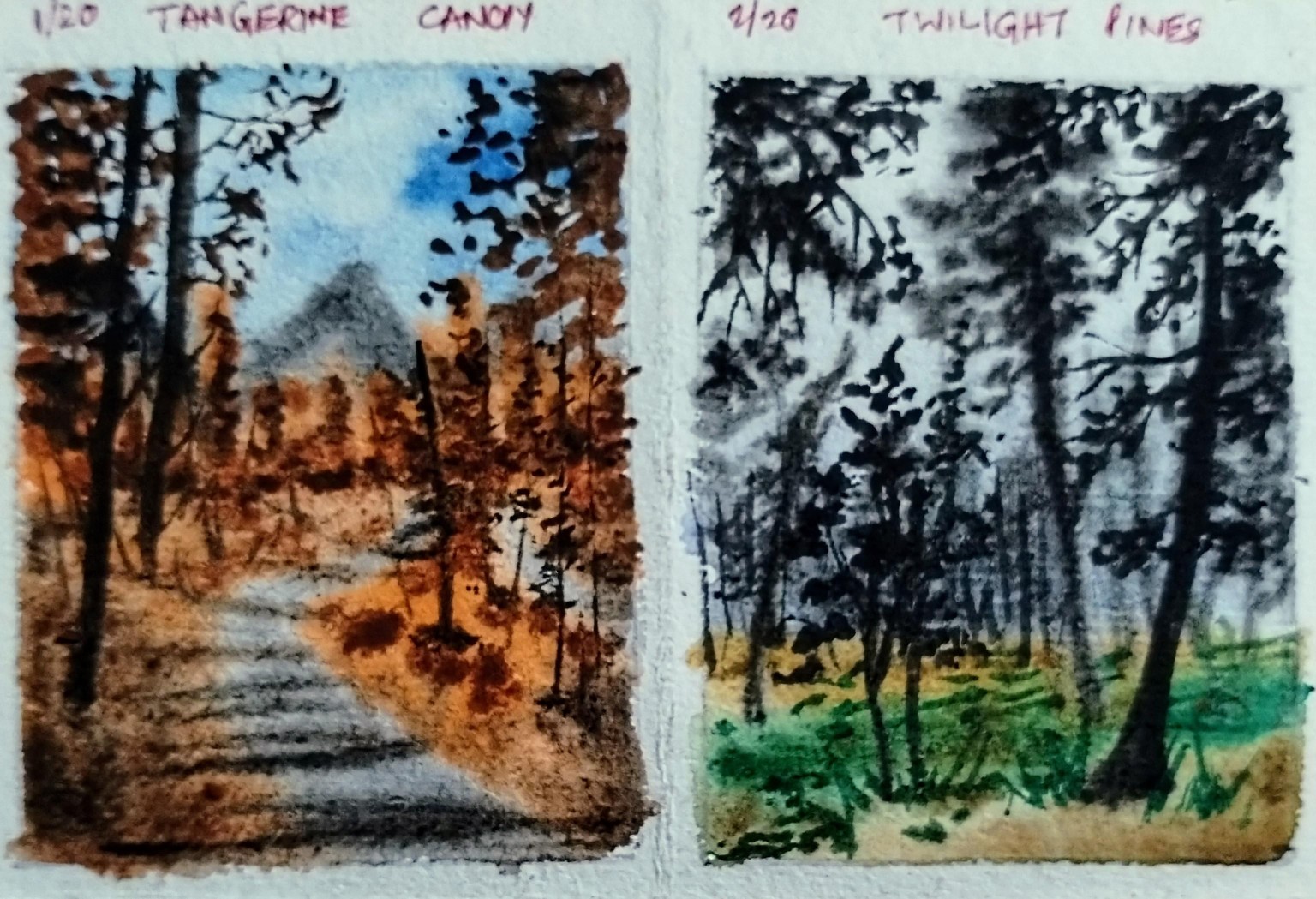 20 day watercolor forest with Shanan - image 7 - student project