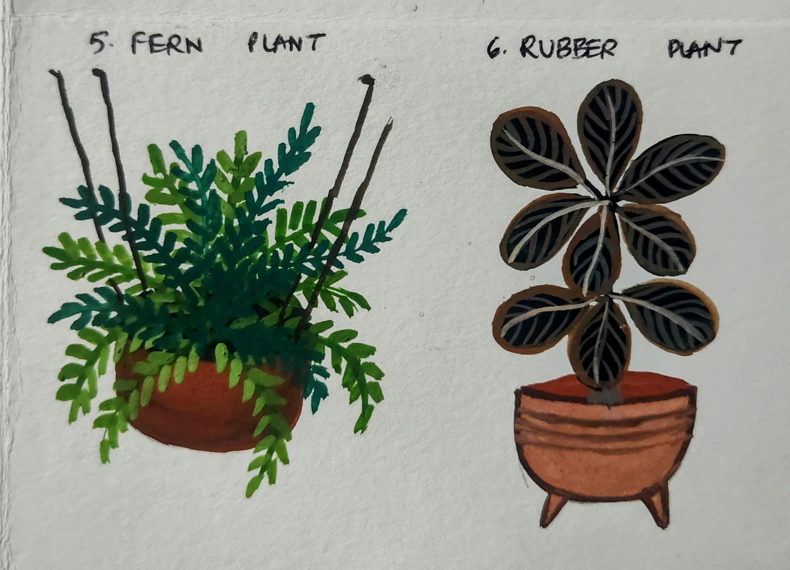 Indoor plants with Mohini - image 1 - student project
