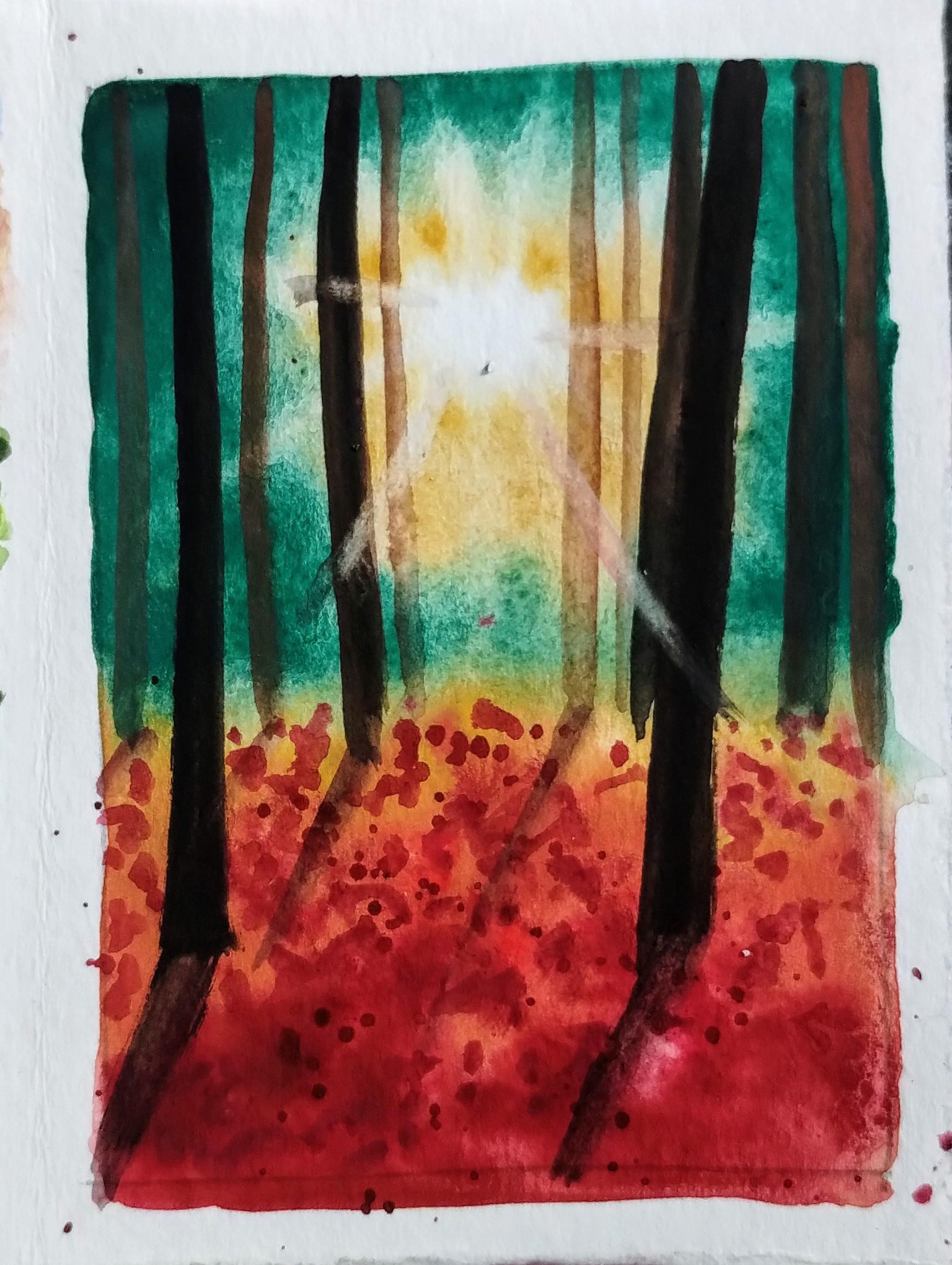 Autumn lights in the woods with Aishwarya - image 1 - student project