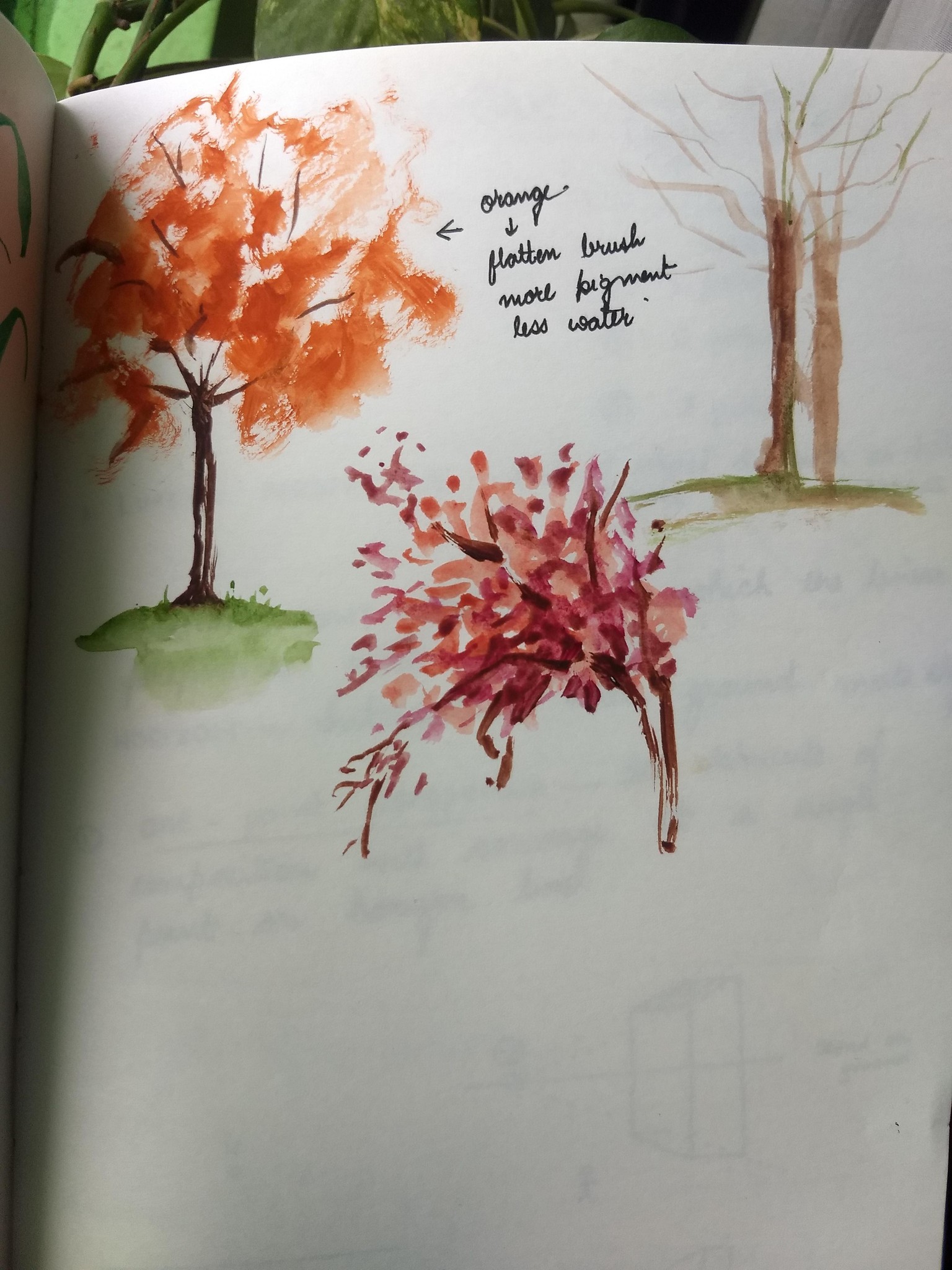 Autumn scenes with Bianca - image 3 - student project