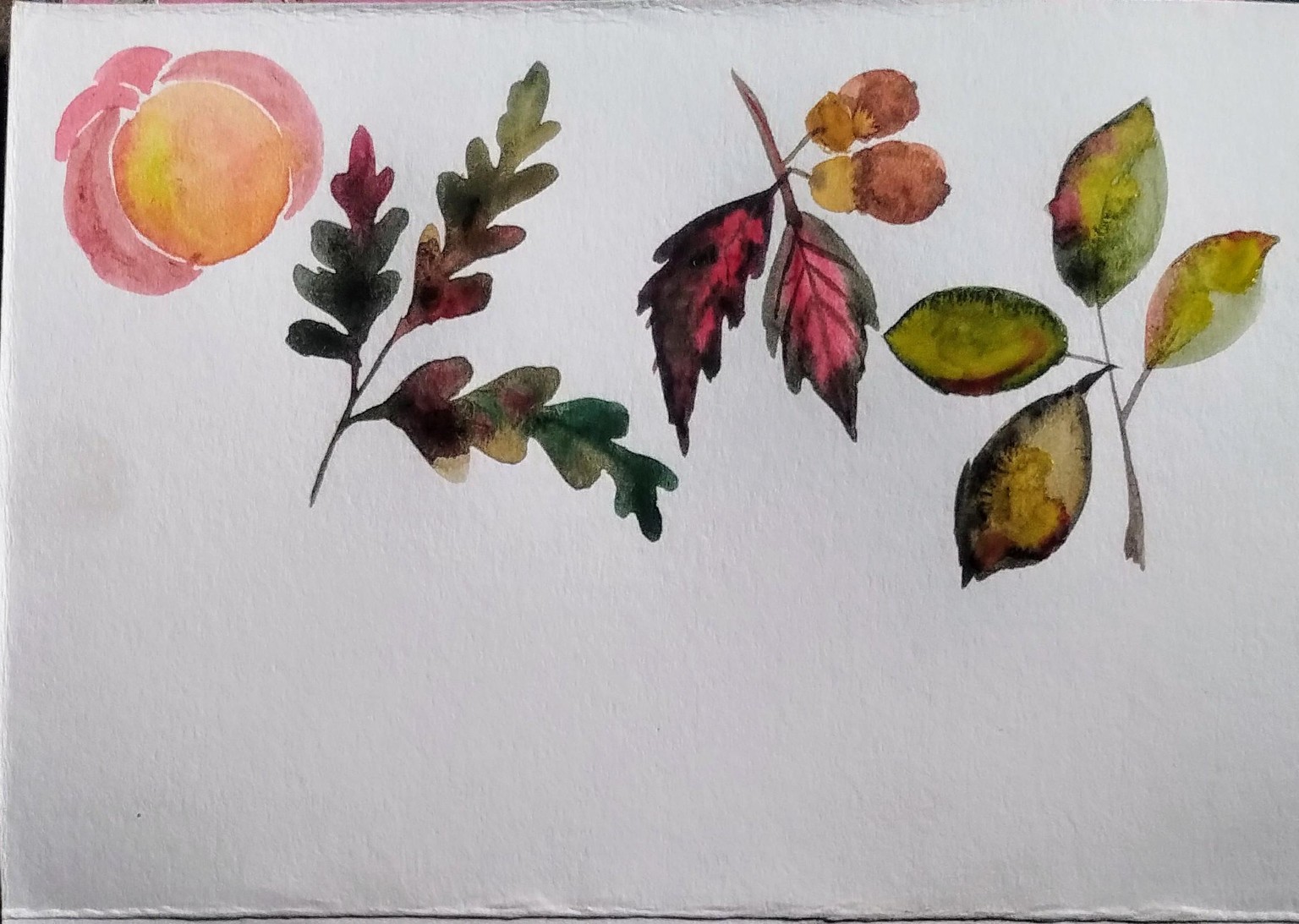 Simple autumn watercolor with Femvisionary - image 3 - student project