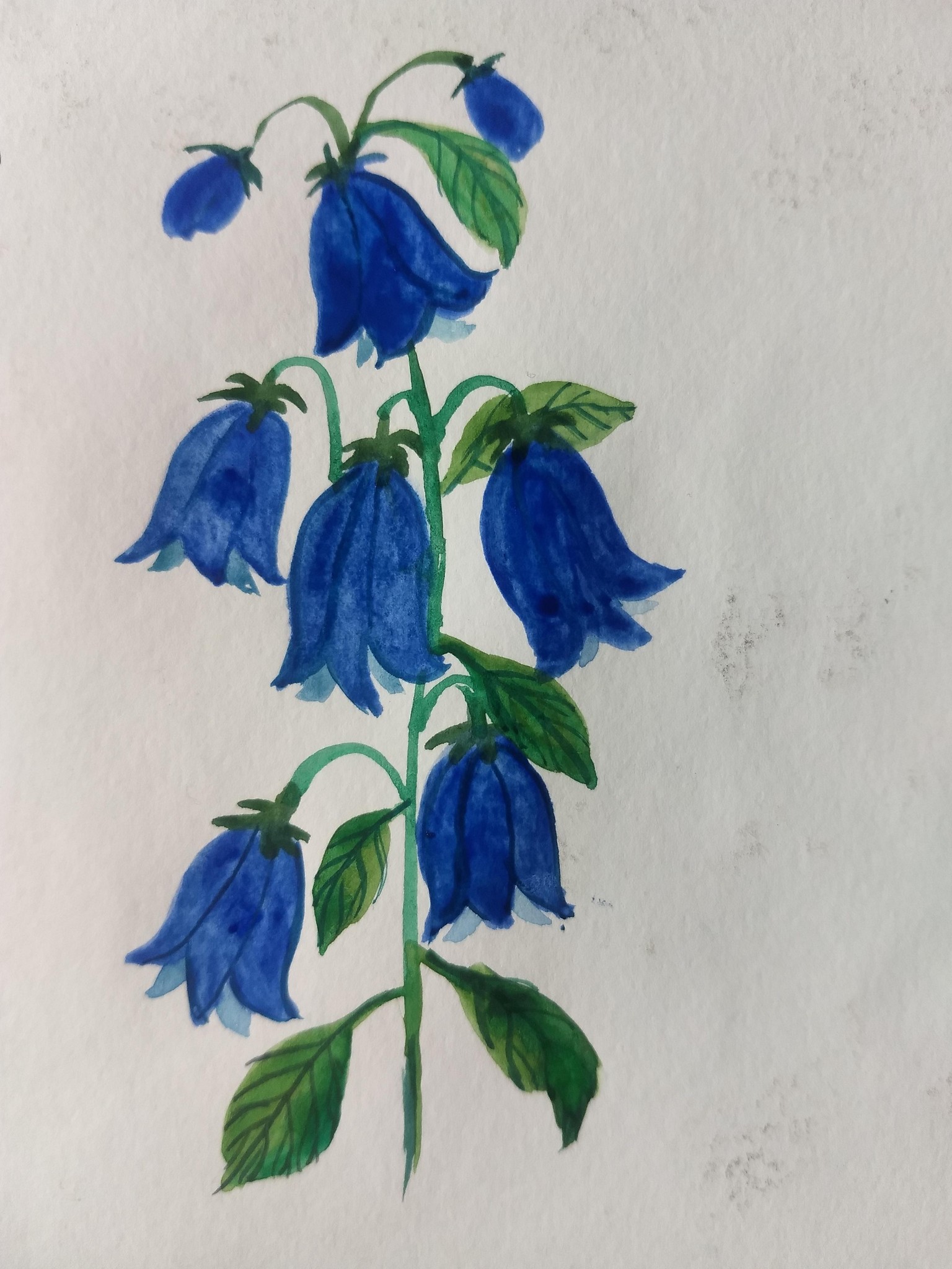 10 days watercolor spring flowers with vinita - image 11 - student project