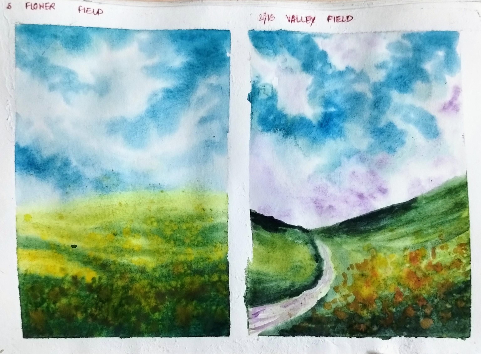 Blossom to bloom with Geethu - image 4 - student project