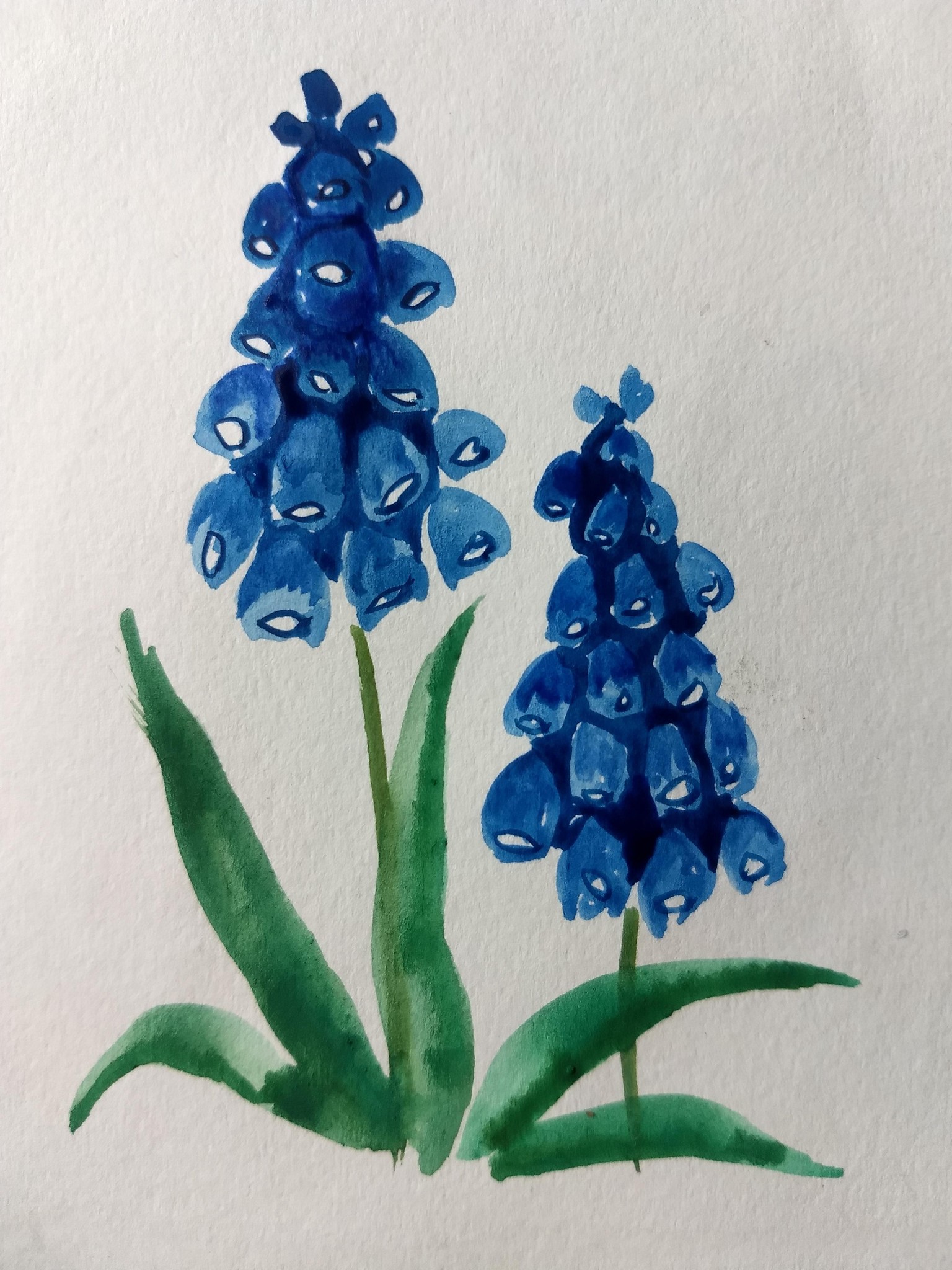 10 days watercolor spring flowers with vinita - image 1 - student project
