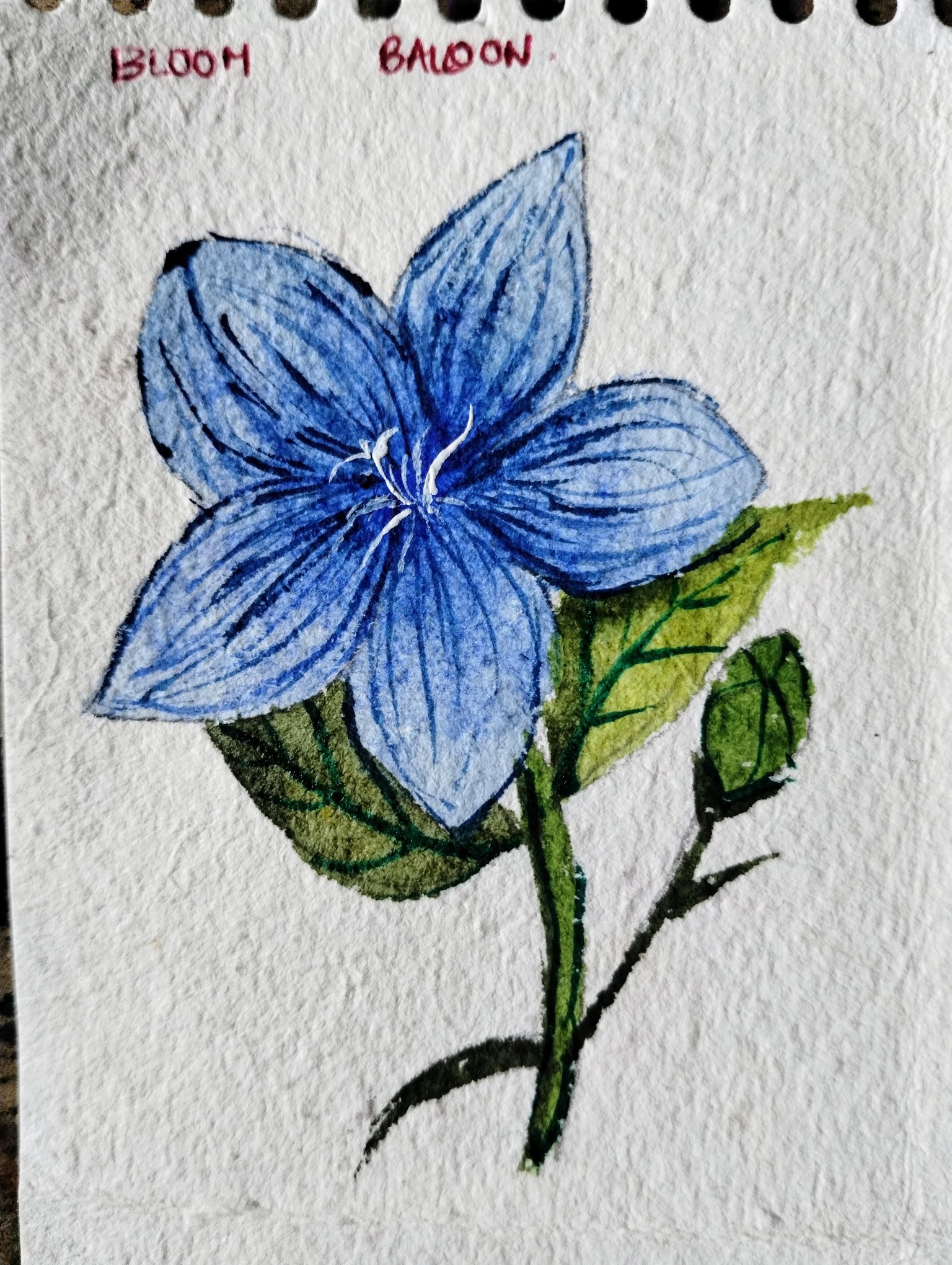 A to z watercolor flowers with Dhritikana - image 10 - student project