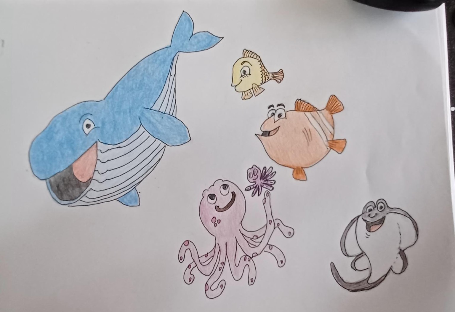 Drawing of marine animals - image 2 - student project