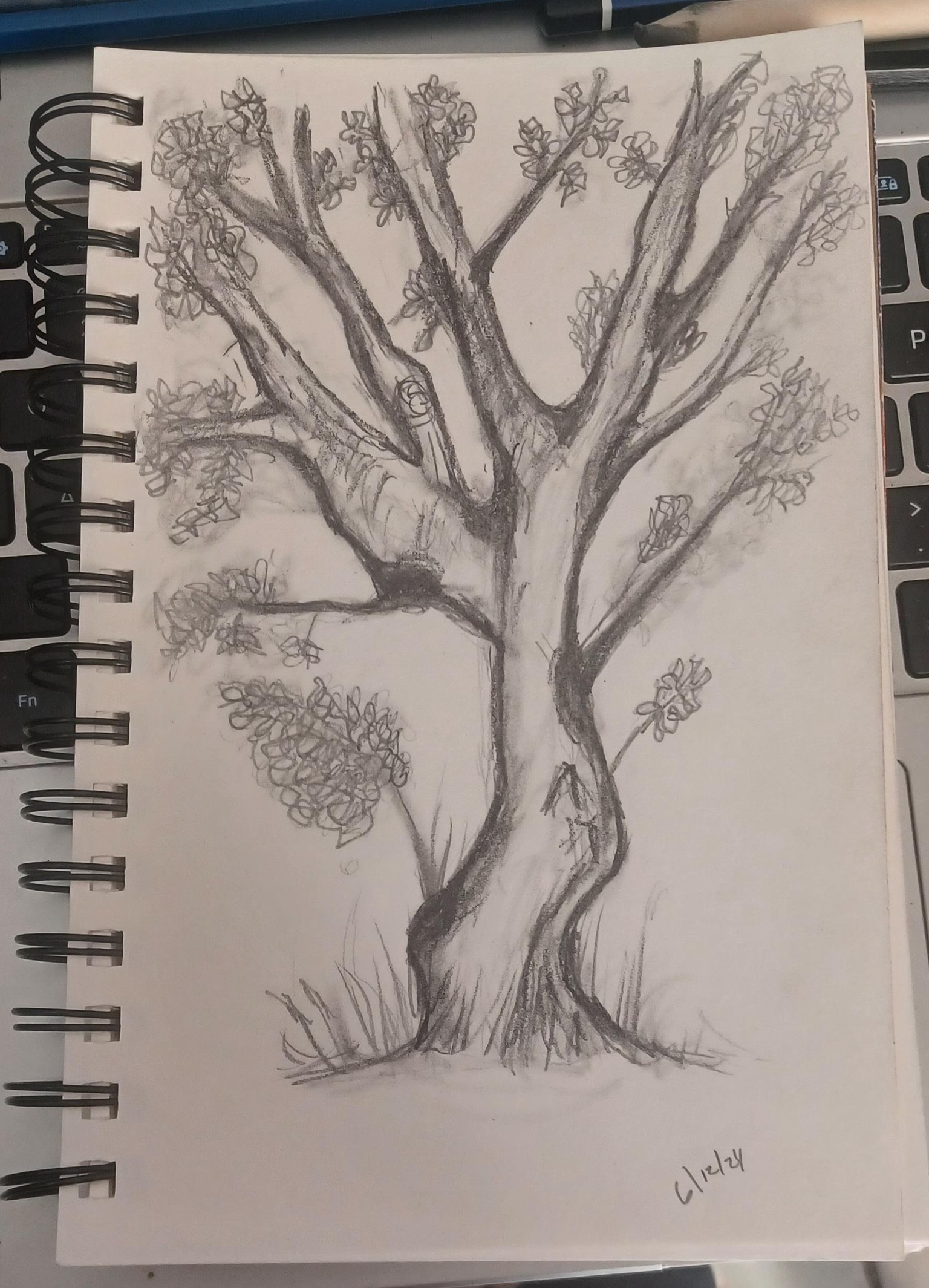 tree - image 1 - student project